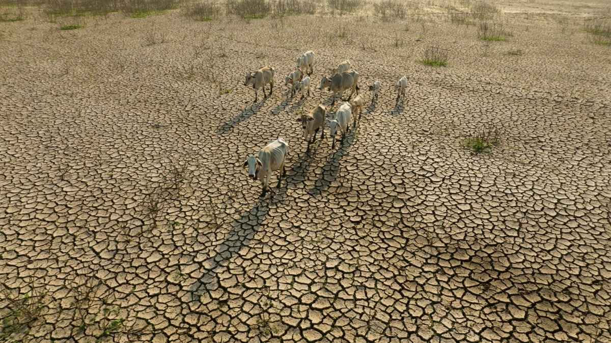Scientists fear this El Niño could amplify an already warming world